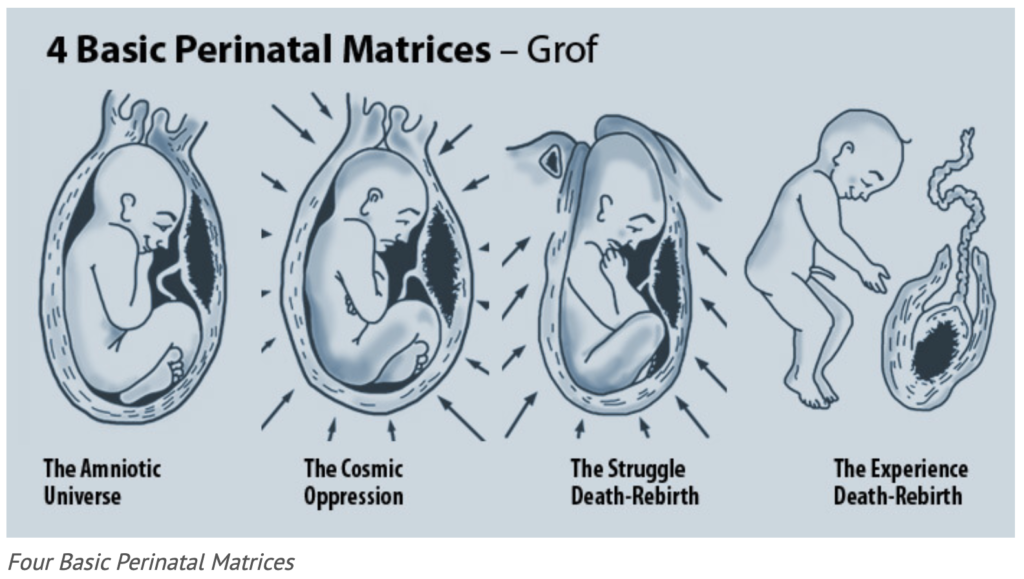 The Basic Perinatal Matrix (BPM) theory